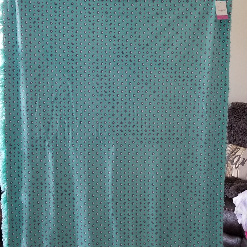 Hedgehog Minky Blanket